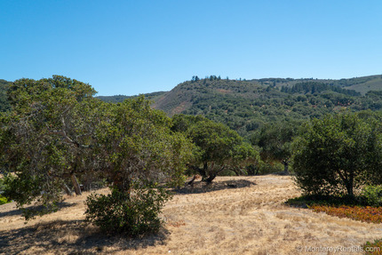 View at Del Rey Oaks