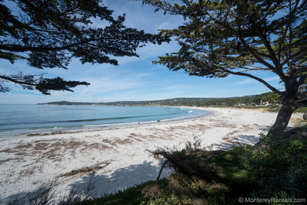 View at Carmel