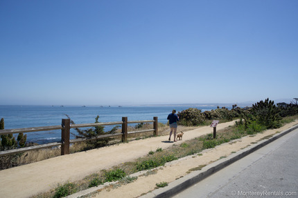 Neighborhood