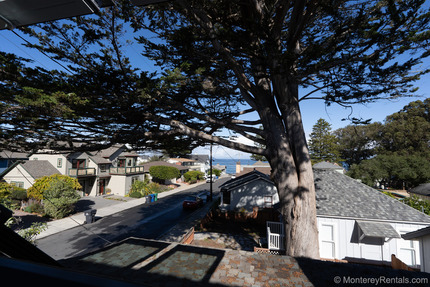 Primary Bedroom View
