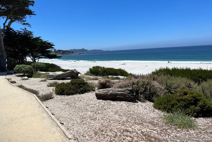 Carmel beaches nearby