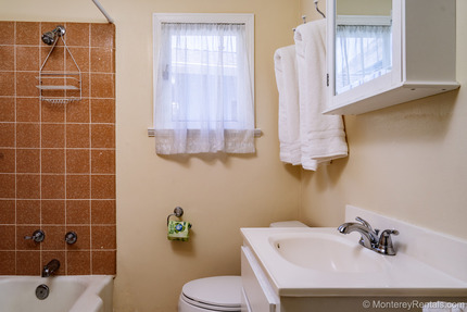 Lower Bathroom
